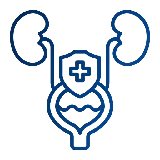 Urinary tract care icon representing kidney, bladder, and infection evaluation services
